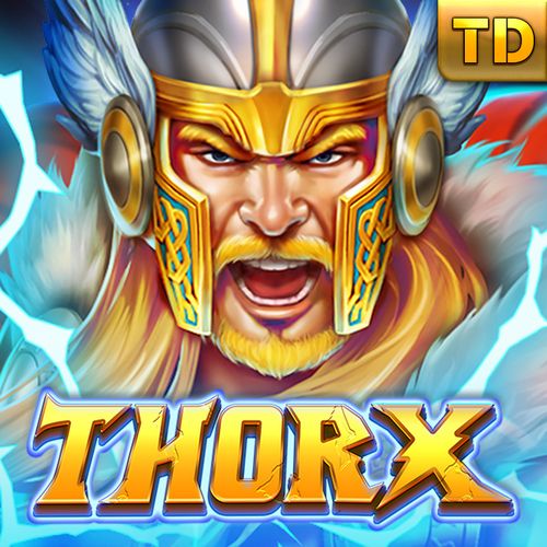 Thor X স্লট কভার - থর এক্স